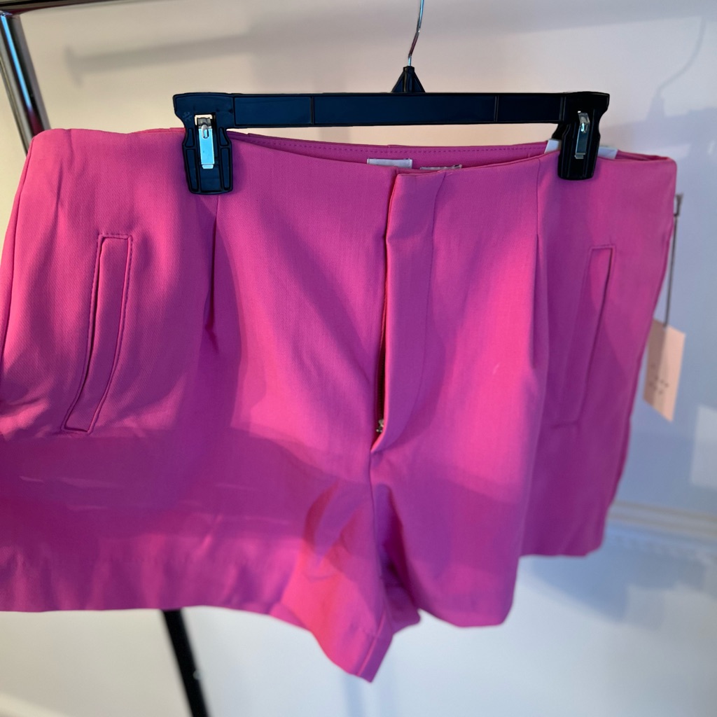 Bright Pink Stretch Material Dressy Shorts Nwt